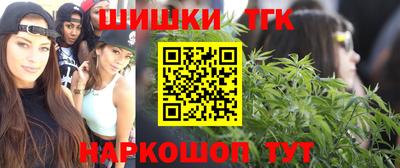 стафф Новодвинск