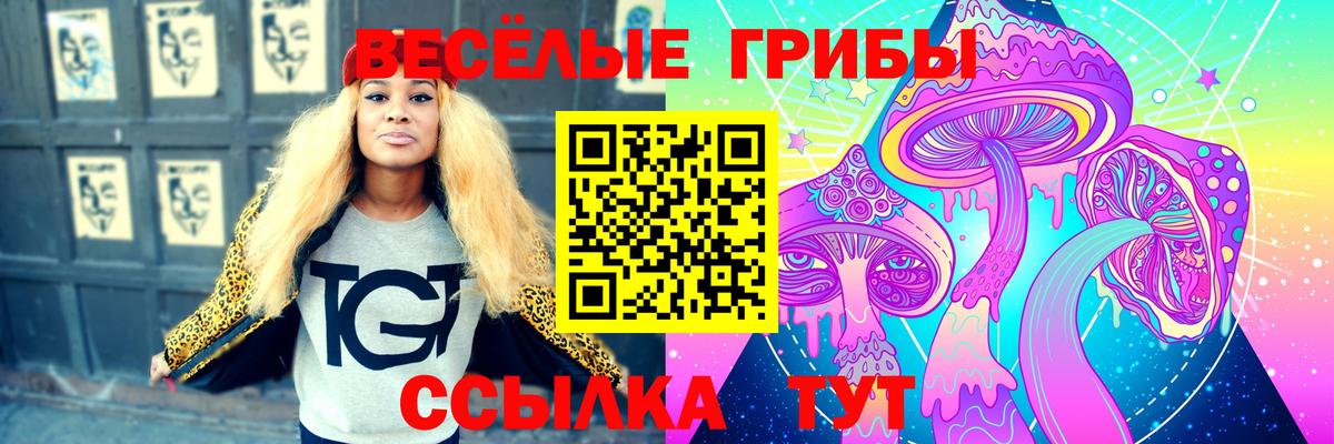 Галлюциногенные грибы прущие грибы Югорск